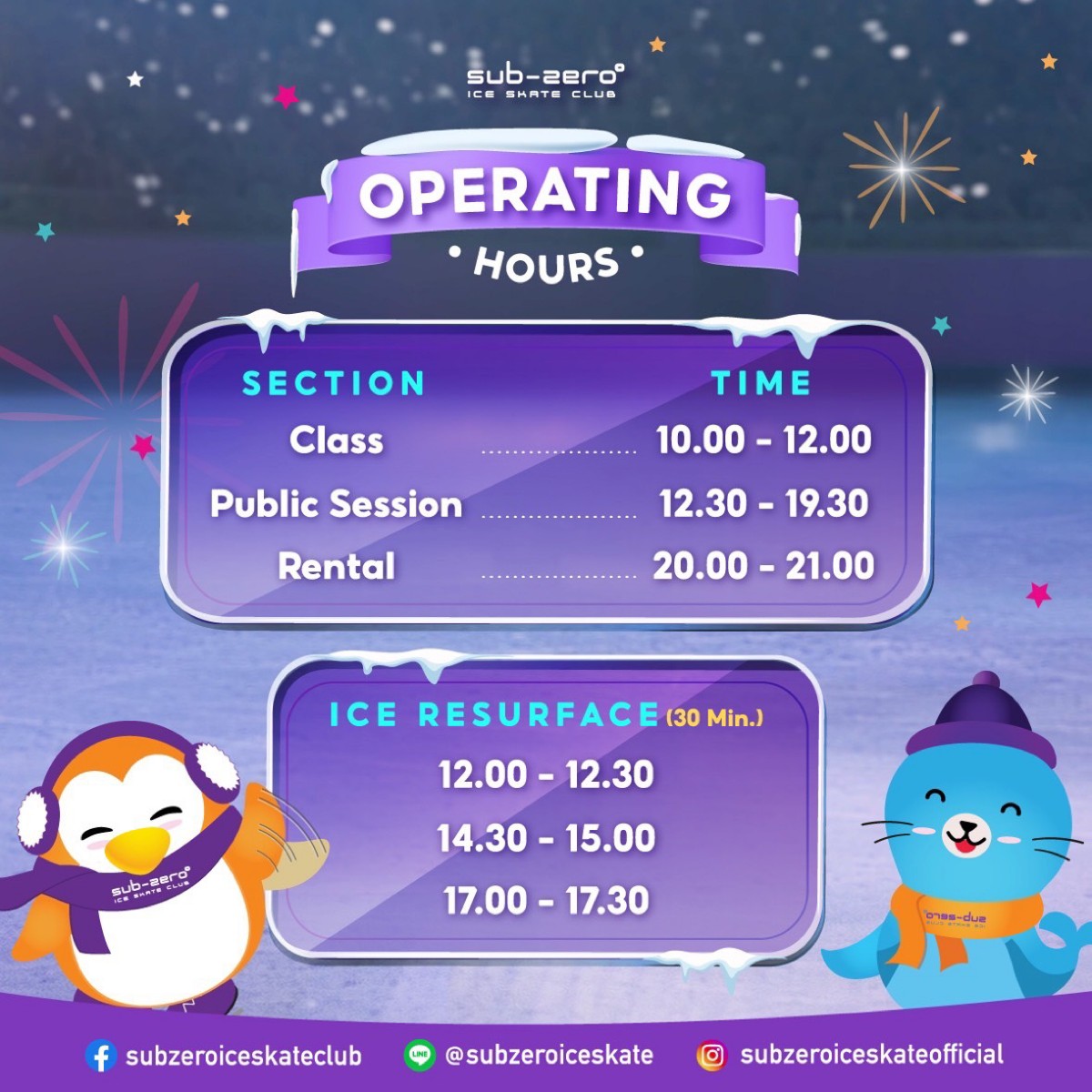 Ice Skate SubZero Ice Skate Club Academy